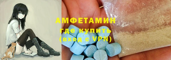 гашик Дмитров