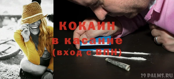 трава Дмитриев