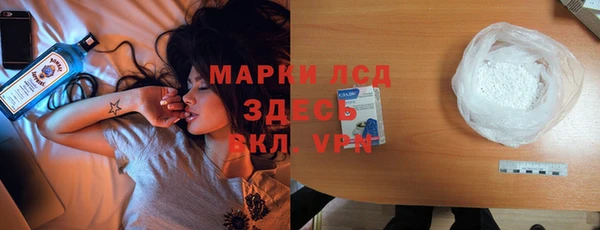 ПСИЛОЦИБИНОВЫЕ ГРИБЫ Елизово