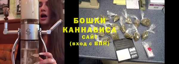 гашик Дмитров