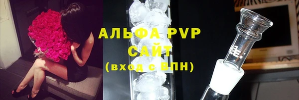 гашик Дмитров