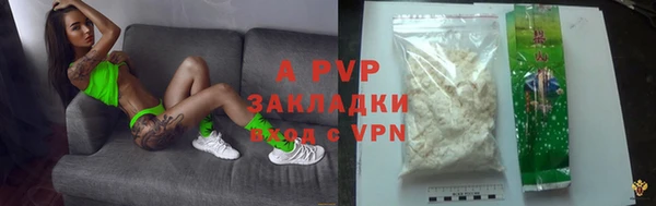 гашик Дмитров