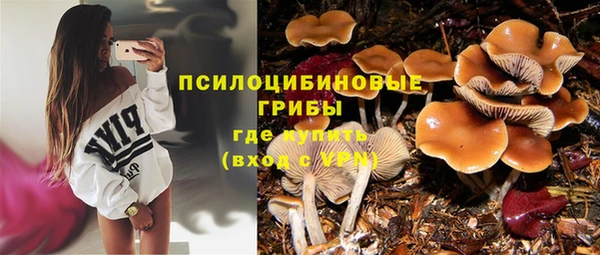 трава Дмитриев