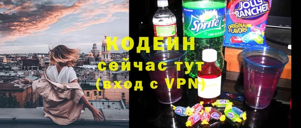 гашик Дмитров