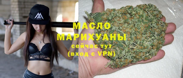 гашик Дмитров