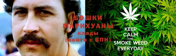 гашик Дмитров