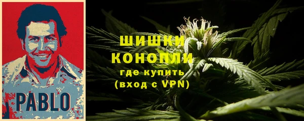 гашик Дмитров