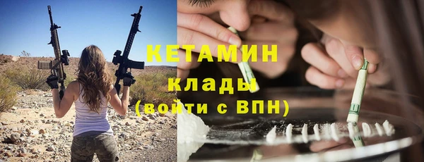 гашик Дмитров