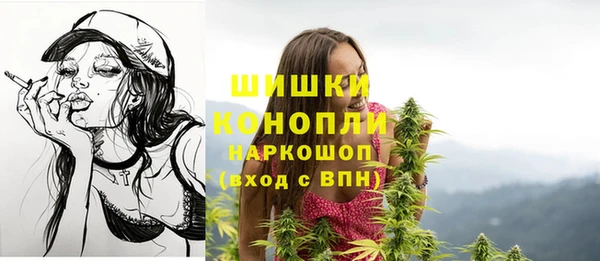 трава Дмитриев