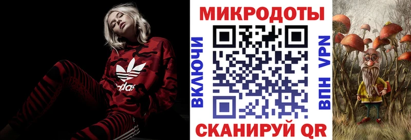 Купить  Палласовка  Галлюциногенные грибы Psilocybe 